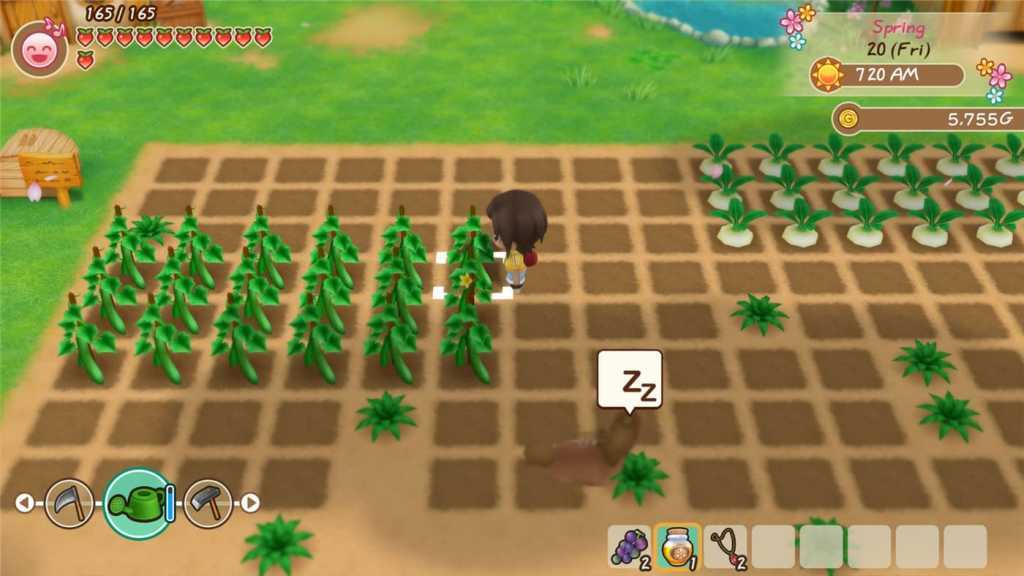 牧场物语：重聚矿石镇/STORY OF SEASONS: Friends of Mineral Town