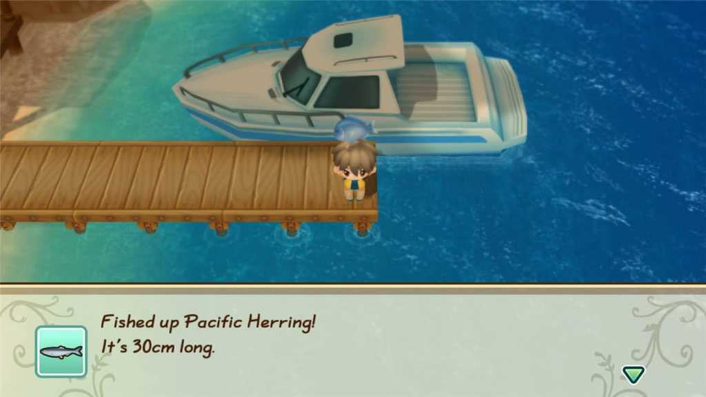 牧场物语：重聚矿石镇/STORY OF SEASONS: Friends of Mineral Town