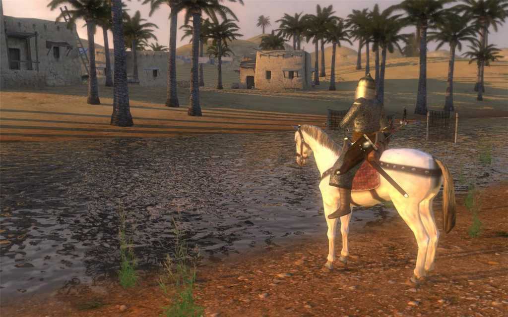 骑马与砍杀：战团/Mount & Blade: Warband/支持网络联机